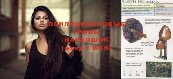 тгк Аркадак
