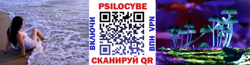 Псилоцибиновые грибы Cubensis Бабаево